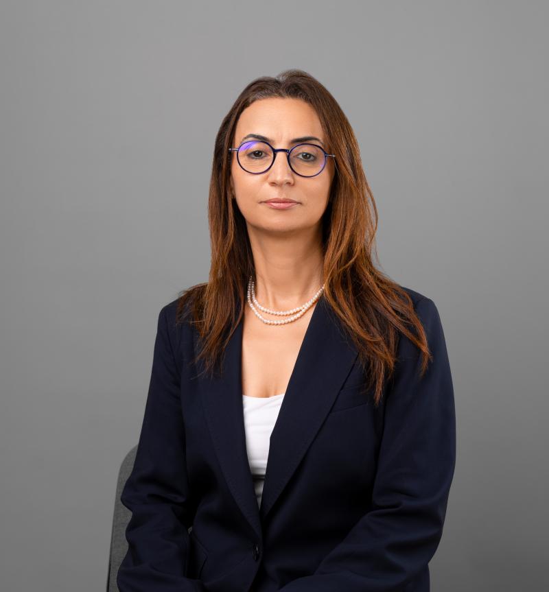 Mona Laroussi (IFEF)