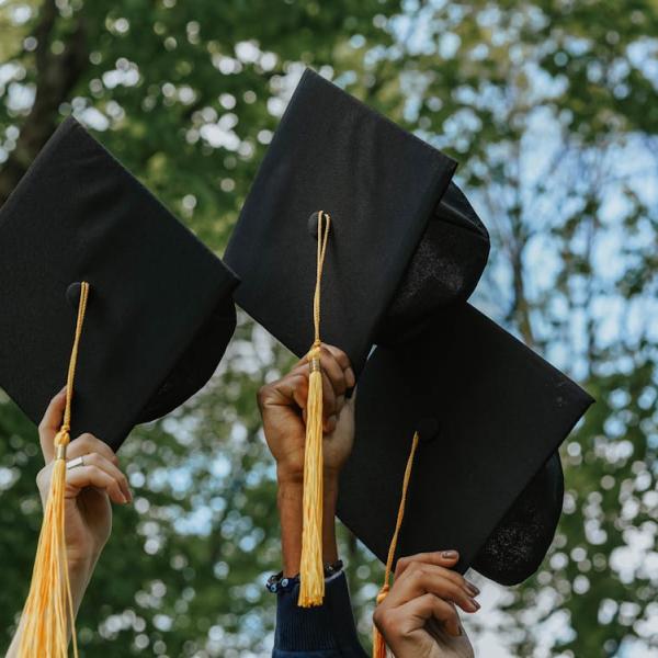 A Group of Person Holding Graduation Cap